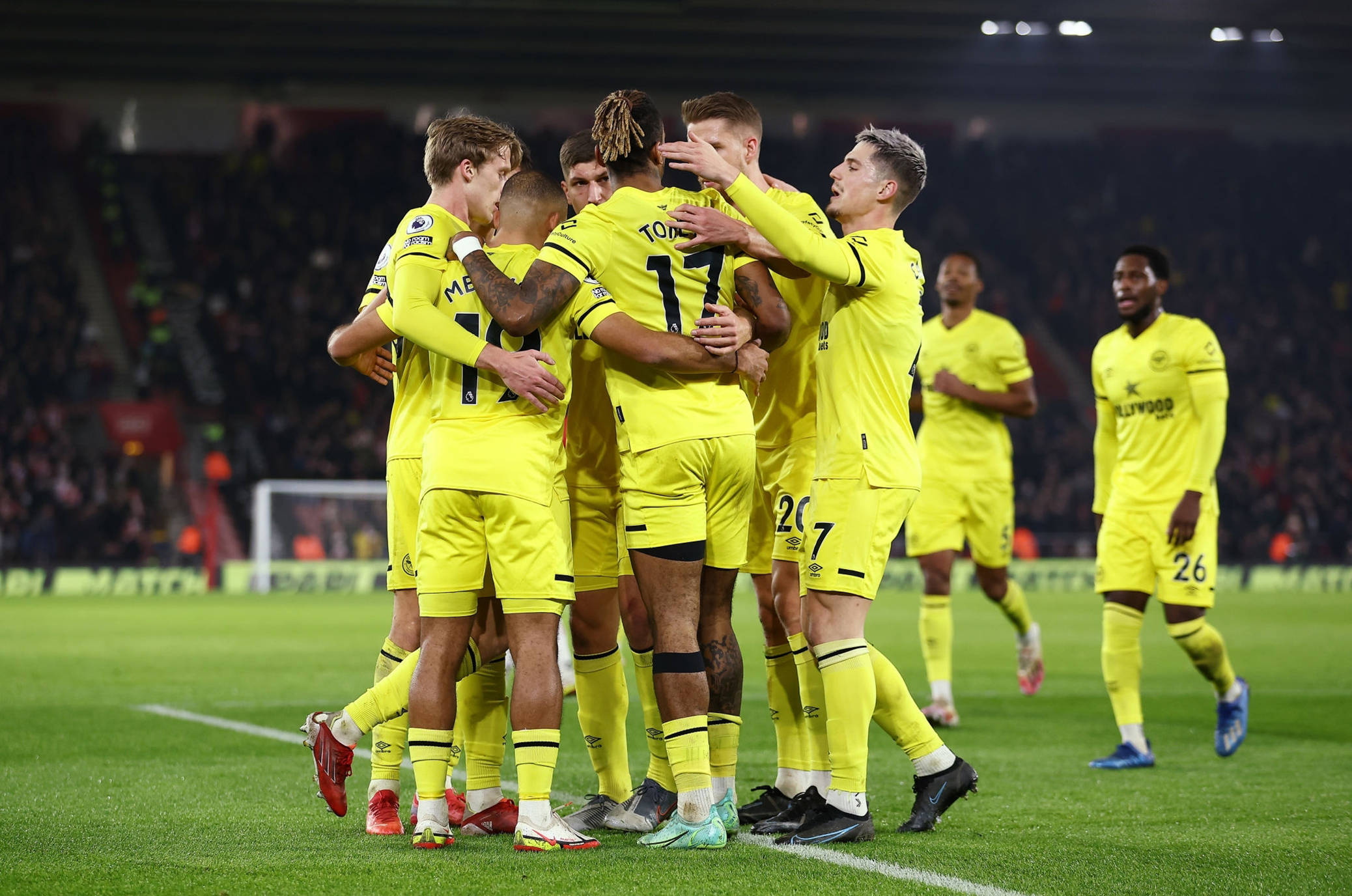 这一选择 这一选择