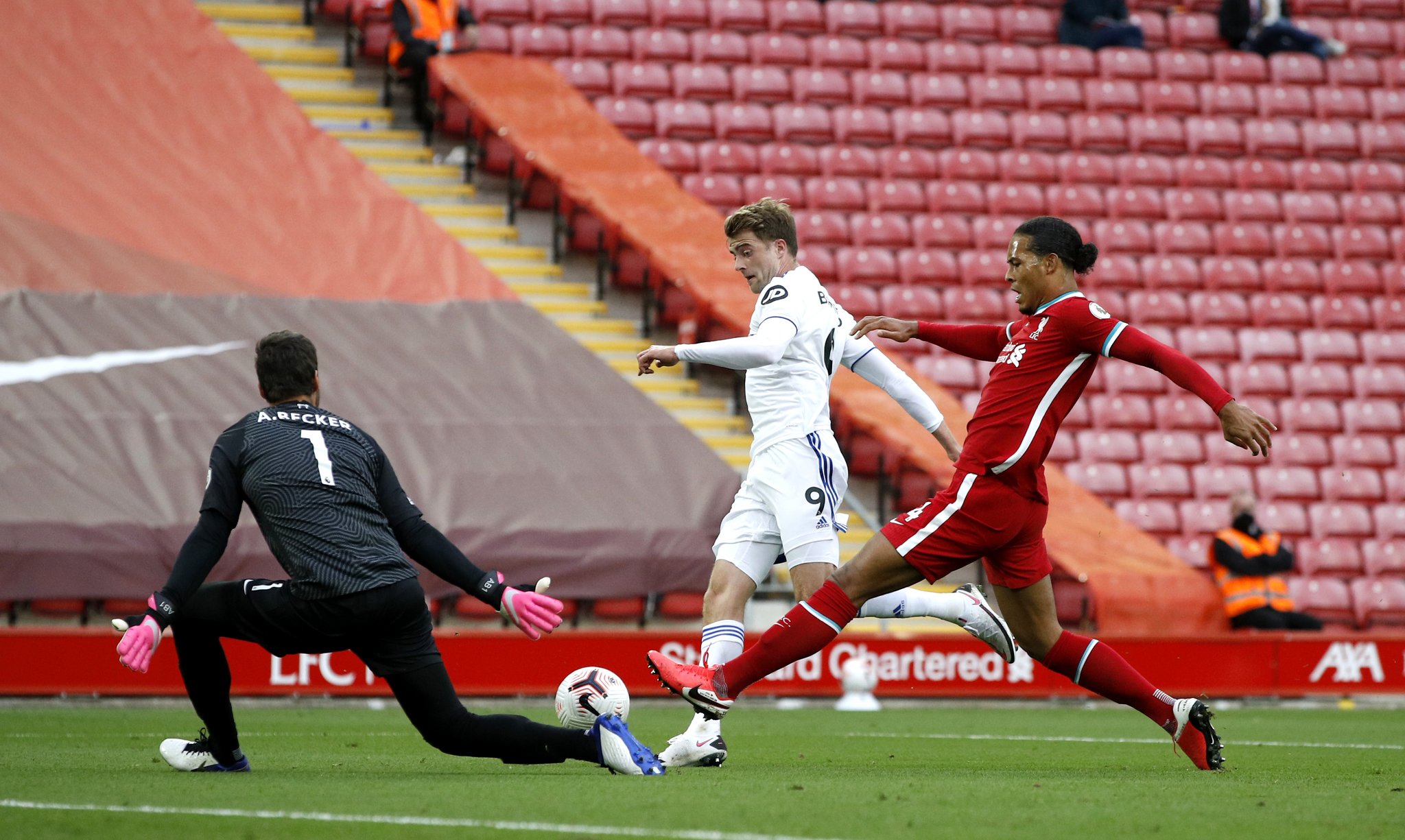 佩德罗的崛 佩德罗的崛